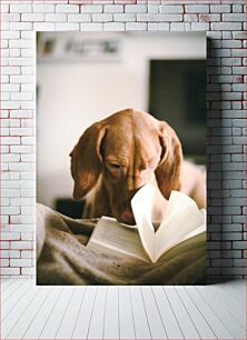 Πίνακας, Dog Reading a Book Σκύλος που διαβάζει ένα βιβλίο