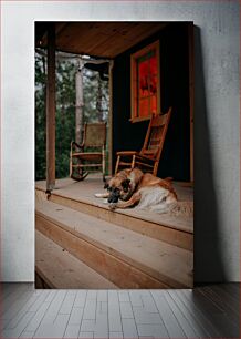 Πίνακας, Dog Relaxing on Cabin Porch Σκύλος που χαλαρώνει στη βεράντα της καμπίνας