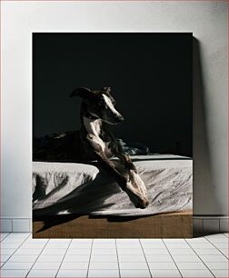 Πίνακας, Dog Resting on Bed Σκύλος που ξεκουράζεται στο κρεβάτι