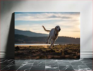 Πίνακας, Dog Running at Sunset Σκύλος που τρέχει στο ηλιοβασίλεμα