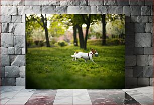 Πίνακας, Dog Running in a Park Σκύλος που τρέχει σε ένα πάρκο