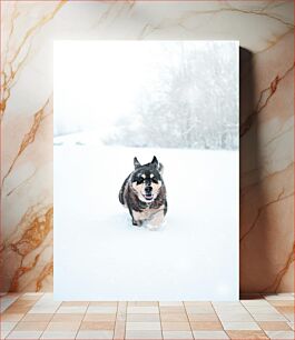 Πίνακας, Dog Running in Snow Σκύλος που τρέχει στο χιόνι