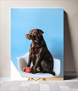 Πίνακας, Dog Sitting on a Chair Σκύλος που κάθεται σε μια καρέκλα