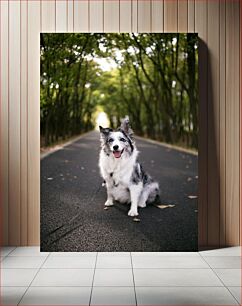 Πίνακας, Dog Sitting on a Forest Road Σκύλος που κάθεται σε έναν δασικό δρόμο