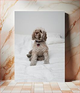 Πίνακας, Dog Sitting on Bed Σκύλος που κάθεται στο κρεβάτι