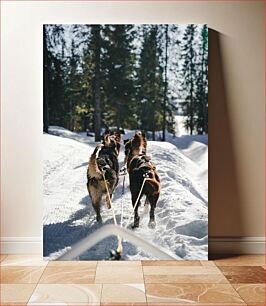 Πίνακας, Dog Sledding in Snowy Forest Έλκηθρο σκύλου στο Χιονισμένο Δάσος