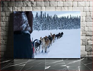 Πίνακας, Dog Sledding in Winter Wonderland Έλκηθρο σκύλου στη χώρα των θαυμάτων του χειμώνα