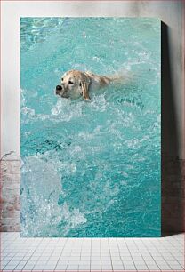Πίνακας, Dog Swimming in Pool Σκύλος Κολύμπι στην Πισίνα