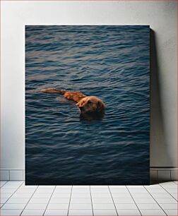 Πίνακας, Dog Swimming in the Sea Σκύλος που κολυμπά στη θάλασσα