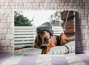 Πίνακας, Dog Wearing a Hat Σκύλος με καπέλο