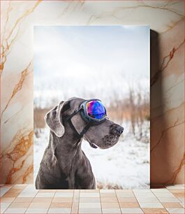 Πίνακας, Dog Wearing Ski Goggles Σκυλιά που φοράει γυαλιά σκι