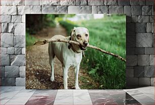 Πίνακας, Dog with a Stick in the Park Σκύλος με ένα ραβδί στο πάρκο