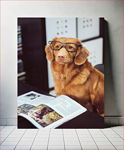 Πίνακας, Dog with Glasses Reading Magazine Περιοδικό ανάγνωσης σκύλου με γυαλιά