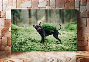 Πίνακας, Dog with Moss on Back Σκύλος με βρύα στην πλάτη