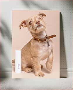 Πίνακας, Dog with Skincare Bottle Σκύλος με μπουκάλι περιποίησης δέρματος