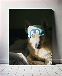 Πίνακας, Dog with Sleep Mask Σκύλος με μάσκα ύπνου