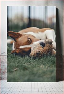 Πίνακας, Dog with Toy Σκύλος με παιχνίδι