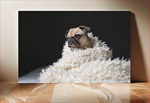 Πίνακας, Dog Wrapped in Blanket Σκύλος τυλιγμένος σε κουβέρτα