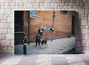 Πίνακας, Dogs in Puppy Parking Zone Σκύλοι στη ζώνη στάθμευσης κουταβιών