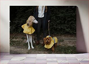 Πίνακας, Dogs in Raincoats Σκυλιά με αδιάβροχα