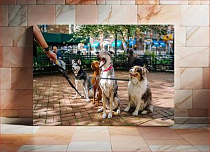 Πίνακας, Dogs in the Park Σκύλοι στο πάρκο