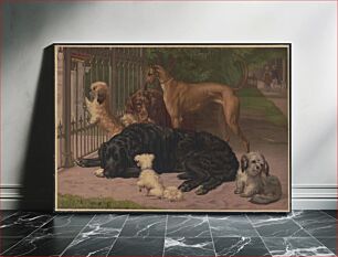 Πίνακας, Dogs not admitted