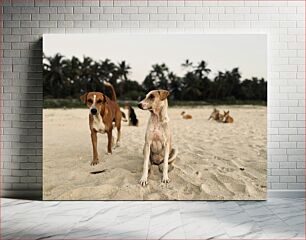 Πίνακας, Dogs on the Beach Σκύλοι στην παραλία