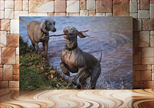 Πίνακας, Dogs Playing by the Water Σκύλοι που παίζουν δίπλα στο νερό