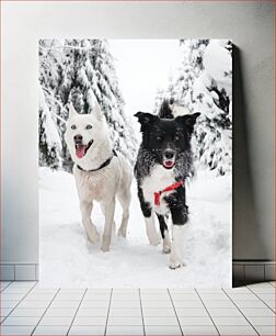 Πίνακας, Dogs Playing in the Snow Σκυλιά που παίζουν στο χιόνι