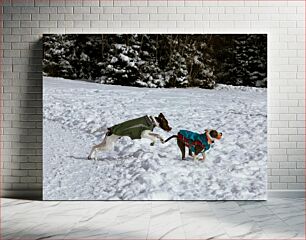 Πίνακας, Dogs Playing in the Snow Σκυλιά που παίζουν στο χιόνι