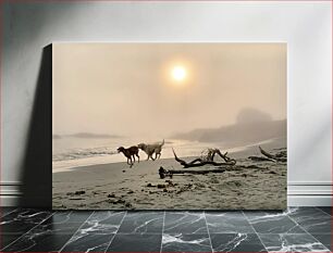 Πίνακας, Dogs Playing on a Misty Beach Σκυλιά που παίζουν σε μια ομιχλώδη παραλία