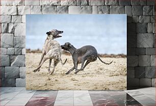 Πίνακας, Dogs Playing on the Beach Σκυλιά που παίζουν στην παραλία