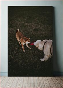 Πίνακας, Dogs Playing with Frisbee Σκυλιά που παίζουν με το φρίσμπι