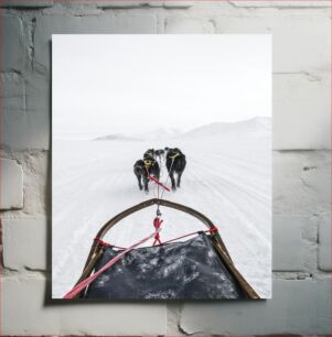 Πίνακας, Dogsledding in the Arctic Οδήγηση σκύλων στην Αρκτική