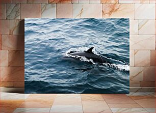 Πίνακας, Dolphin in the Ocean Δελφίνι στον Ωκεανό