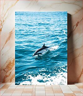 Πίνακας, Dolphin in the Ocean Δελφίνι στον Ωκεανό
