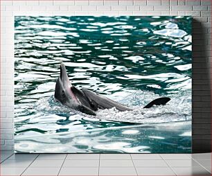 Πίνακας, Dolphin in the Water Δελφίνι στο νερό