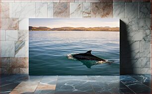 Πίνακας, Dolphin in Tranquil Waters Δελφίνι στα ήρεμα νερά