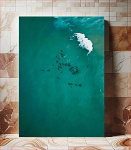 Πίνακας, Dolphin Pod in Turquoise Waters Dolphin Pod σε Τυρκουάζ Νερά