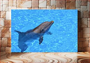 Πίνακας, Dolphin Swimming in Clear Blue Water Δελφίνι που κολυμπά σε καταγάλανα νερά