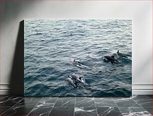 Πίνακας, Dolphins in the Ocean Δελφίνια στον Ωκεανό