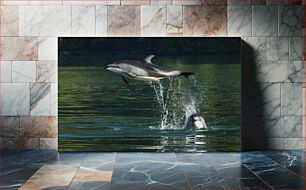 Πίνακας, Dolphins Leaping from the Water Δελφίνια που πηδούν από το νερό