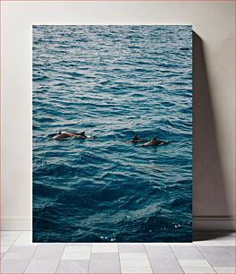 Πίνακας, Dolphins Swimming in the Ocean Δελφίνια που κολυμπούν στον ωκεανό