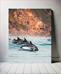 Πίνακας, Dolphins Swimming Near Coast Δελφίνια που κολυμπούν κοντά στην ακτή