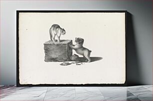 Πίνακας, [Domestic cat standing on a block and a puppy with its front paws on the block]