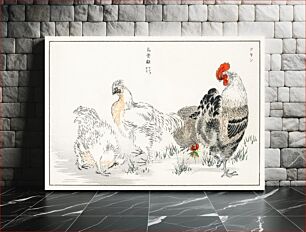Πίνακας, Domestic Fowl illustration. Pictorial Monograph of Birds (1885) by Numata Kashu (1838-1901)