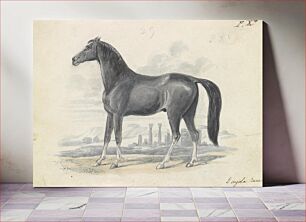 Πίνακας, Dongola Horse by Charles Hamilton Smith