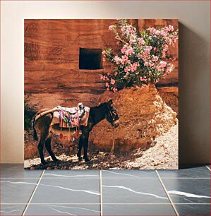 Πίνακας, Donkey and Flowers by the Rocky Wall Donkey and Flowers by the Rocky Wall