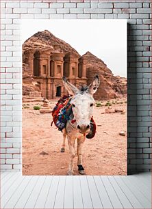 Πίνακας, Donkey at Ancient Petra Γάιδαρος στην Αρχαία Πέτρα