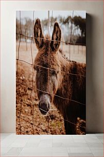 Πίνακας, Donkey Behind the Fence Γάιδαρος πίσω από τον φράχτη